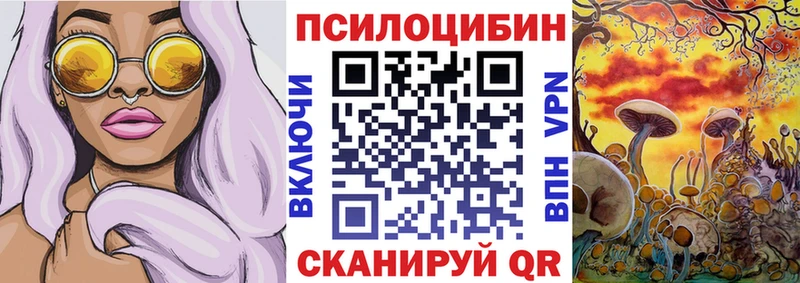 Купить закладки  Белоозёрский  Псилоцибиновые грибы Psilocybe 